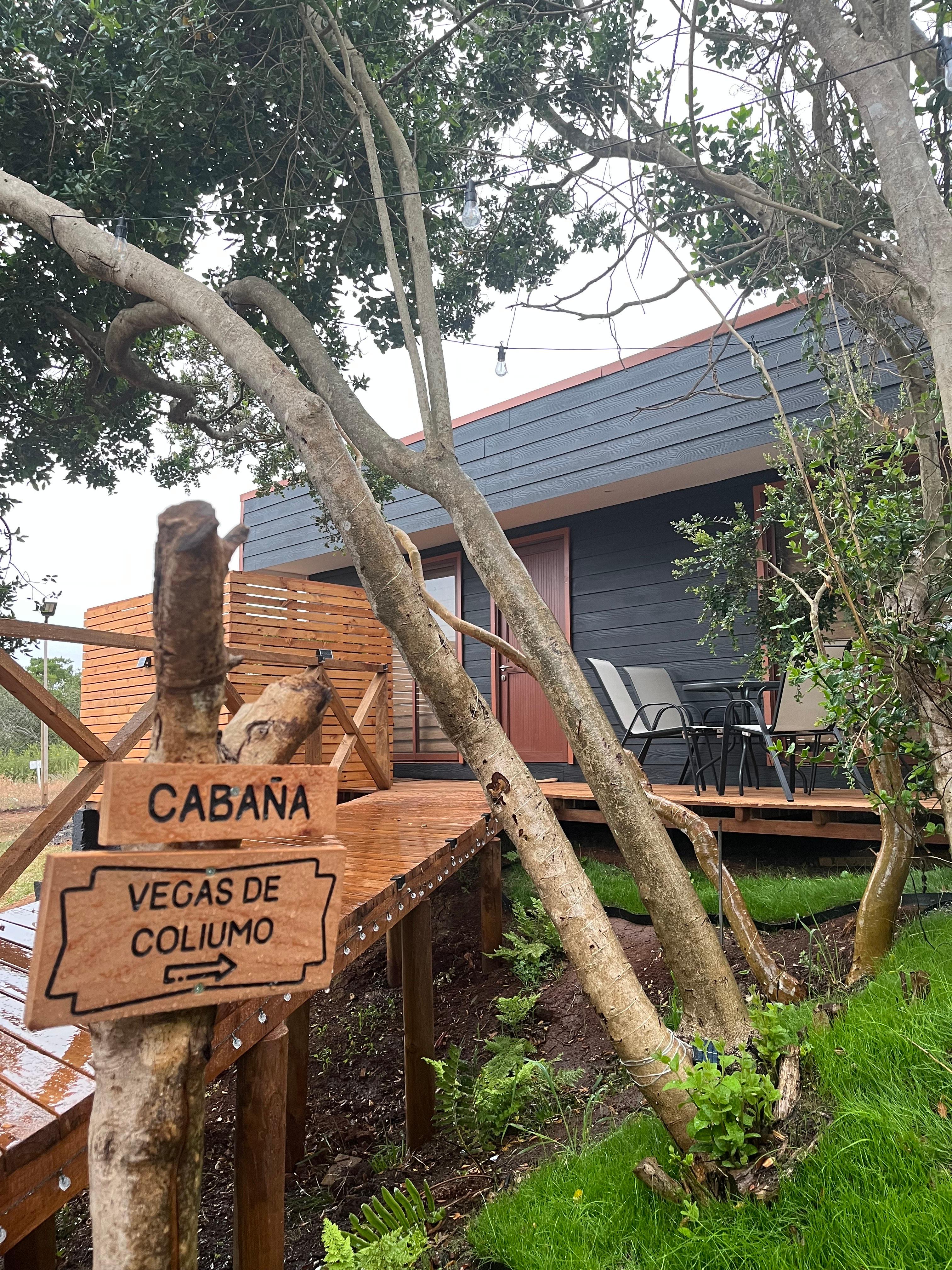 Vegas del Coliumo - Interior de Vegas de Coliumo