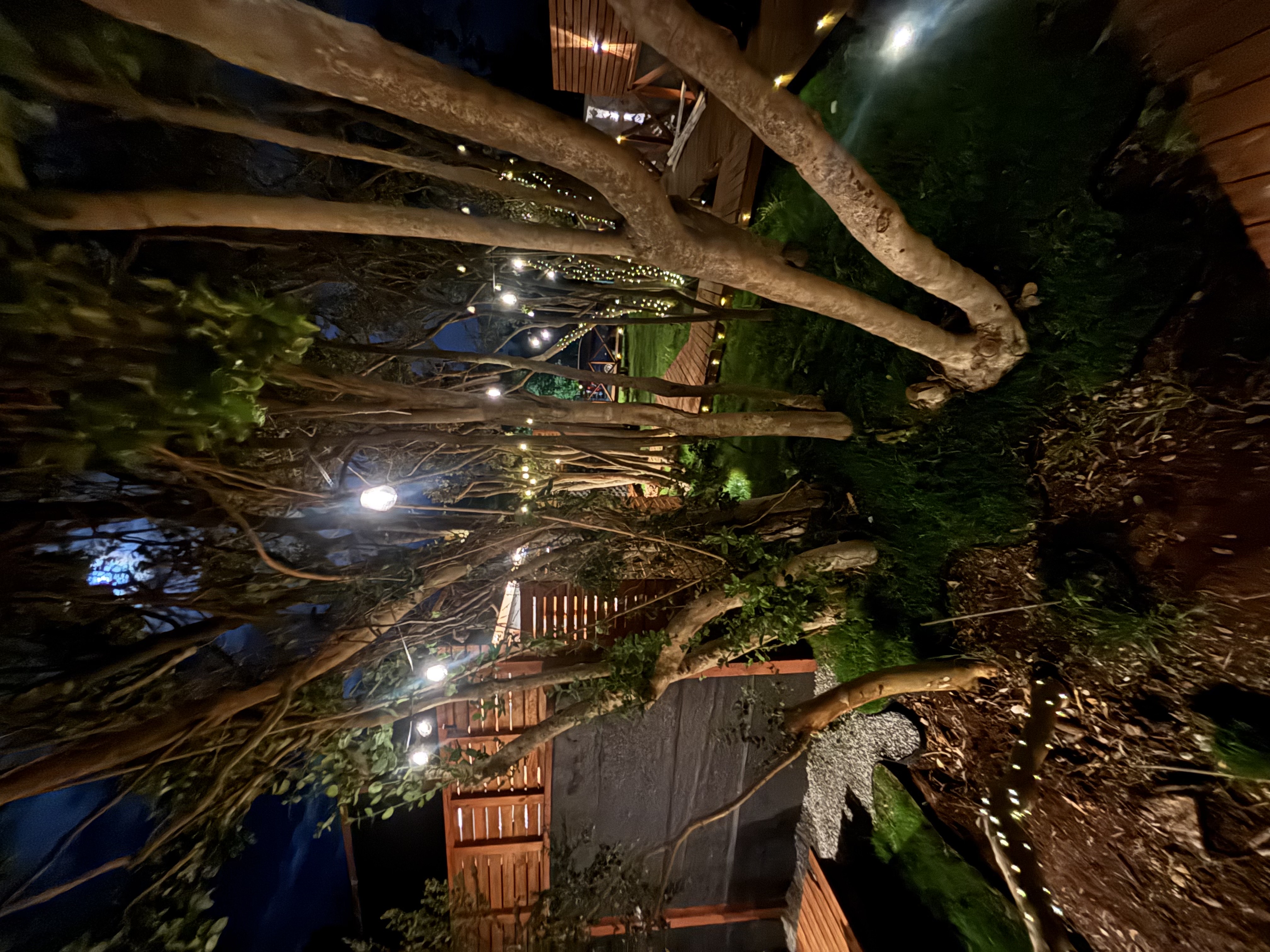 Ambiente natural de la zona